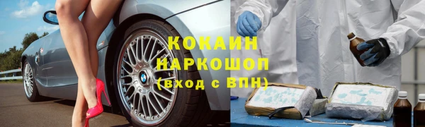 бошки Алексин